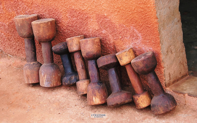 Pestles for crushing shea nuts, Burkina Faso.