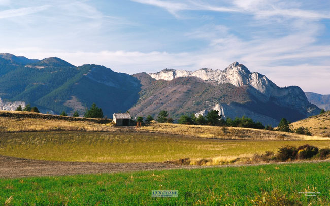 Provence landscape
