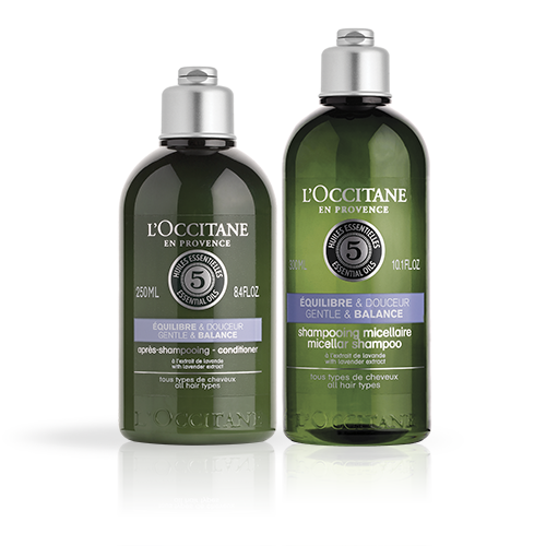 Duo Shampoing et Après-Shampoing Equilibre & Douceur Aromachologie - L'Occitane en Provence