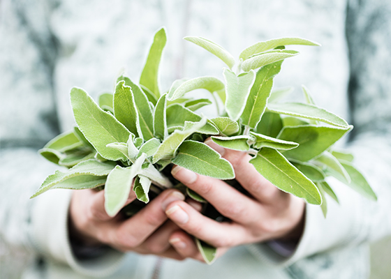 to protect the richness of our lands, we:  -nurture biodiversity