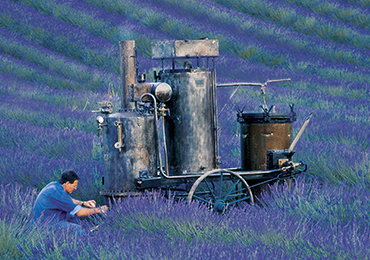 L Occitane En Provence