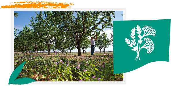 Respect de la biodiversité - L'OCCITANE