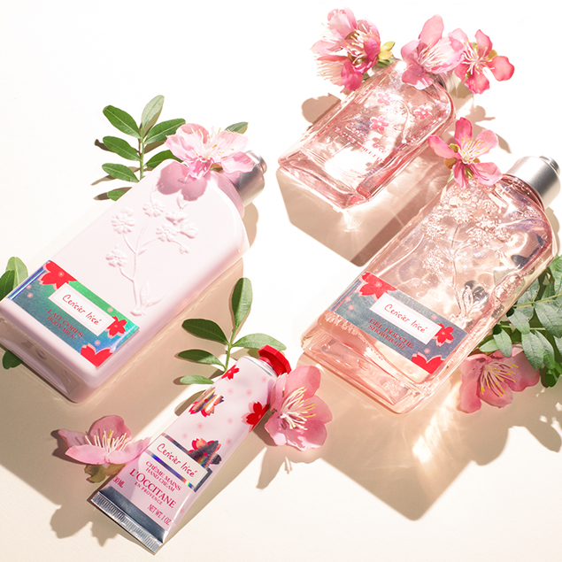 Fleurs De Cerisier Parfum Et Soins Corps Loccitane