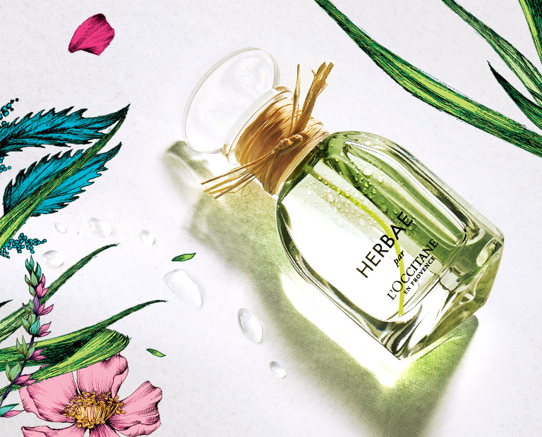 Loccitane Türkiye Doğal Cilt Vücut Saç Bakımı Parfümler Ev Kokuları
