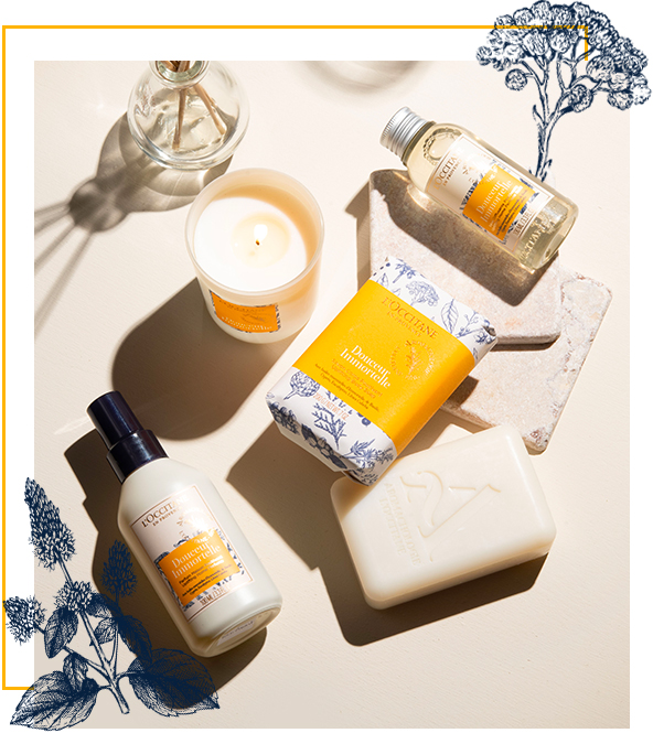 Douceur Immortelle