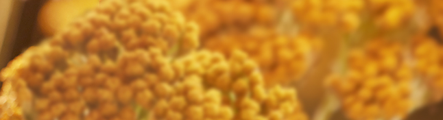 Une bonne mine assurée