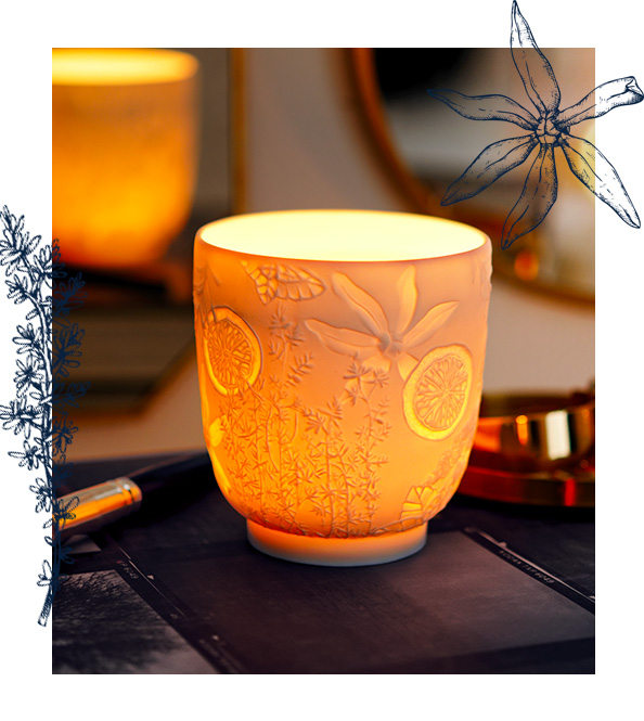 Diffuseur de lumière 