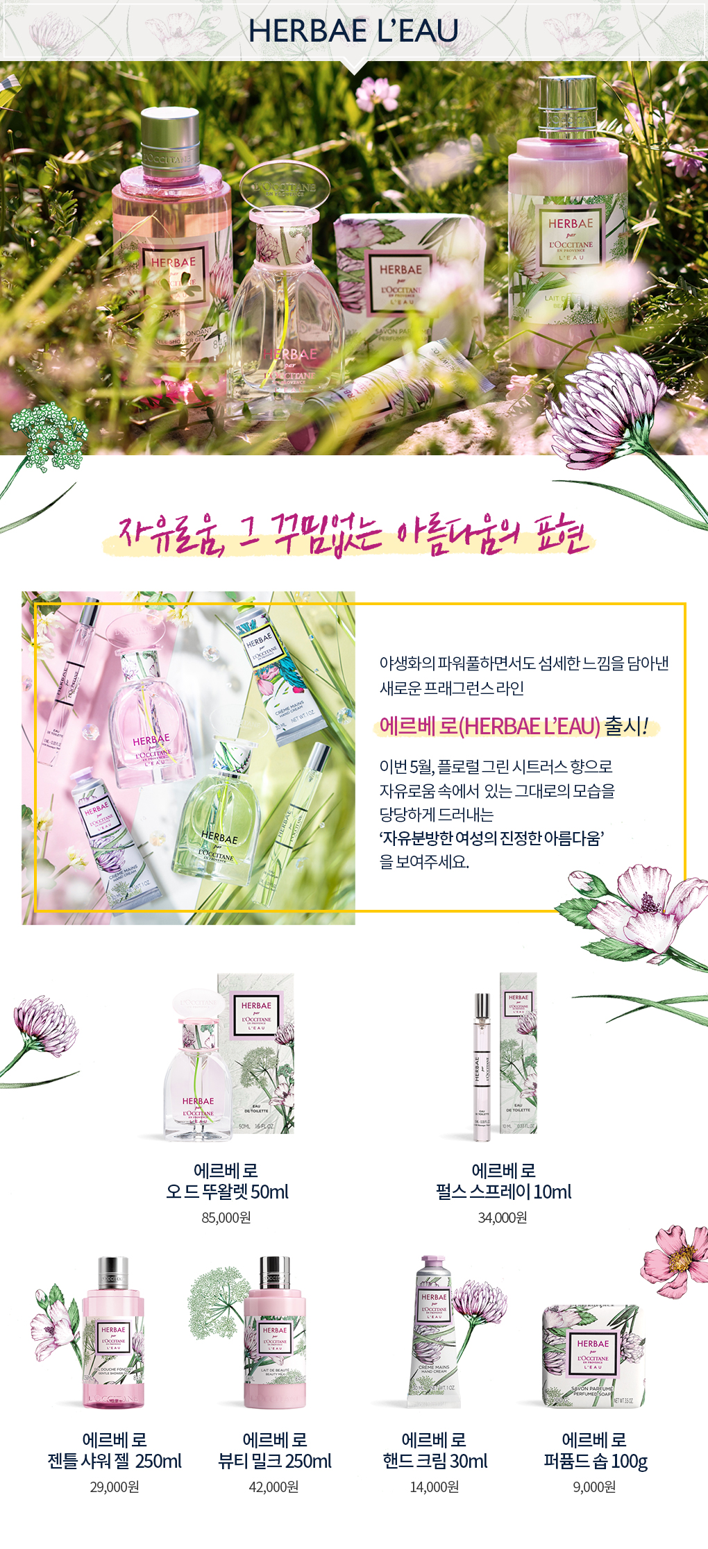 에르베로 제품