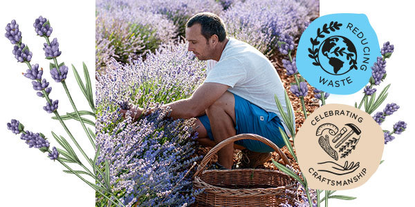 Shop L'Occitane Lavender Harvest Hand Cream (New Packaging Shop L'Occitane Lavender Harvest Hand Cream (New Packaging