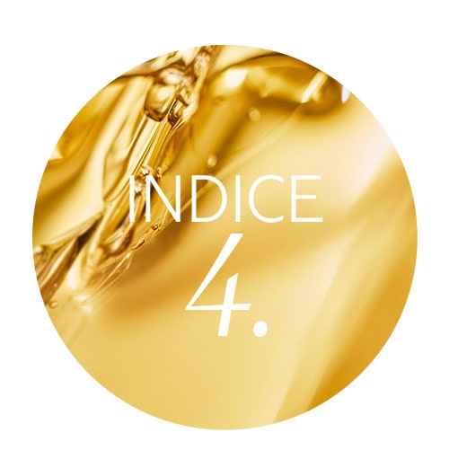 Indice 4