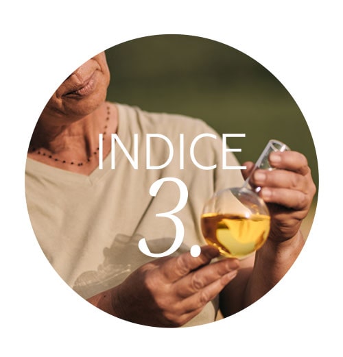 Indice 3