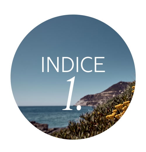 Indice 1