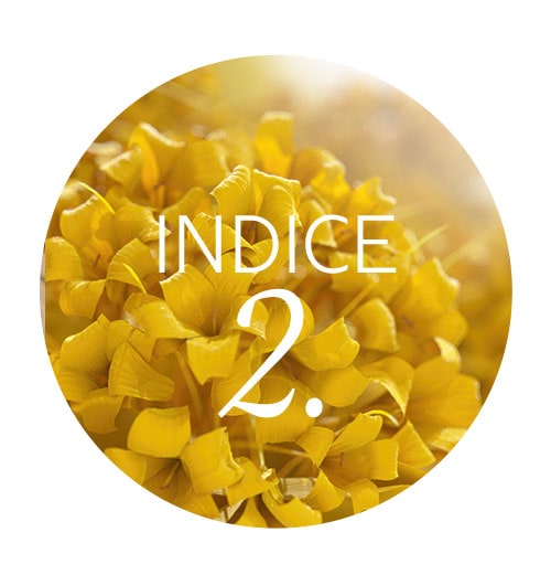 Indice 2