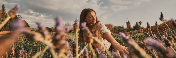 L'histoire de l'Occitane