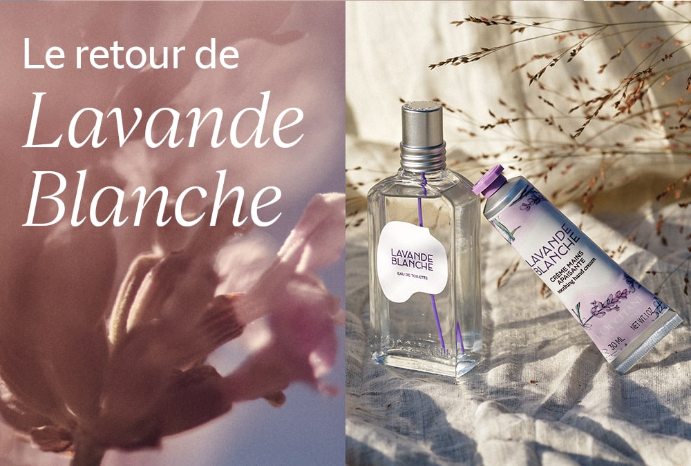 Le retour de Lavande Blanche