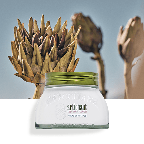 Artichaut