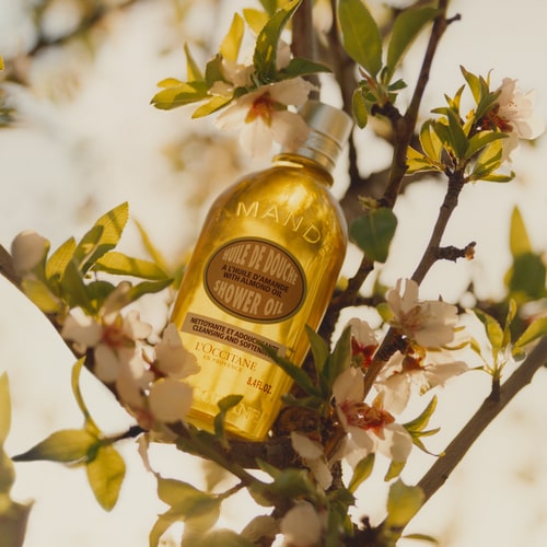 Huile de Douche Amande
