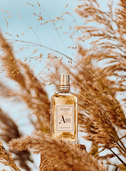 Toutes les fragrances emblématiques