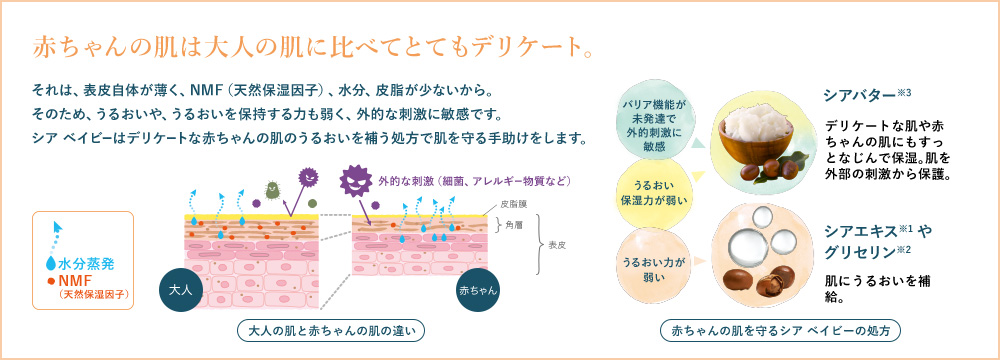 うるおうたび 笑顔 スヌーピーと仲間たちが しっとり シア と限定コラボレーション L Occitane Jp