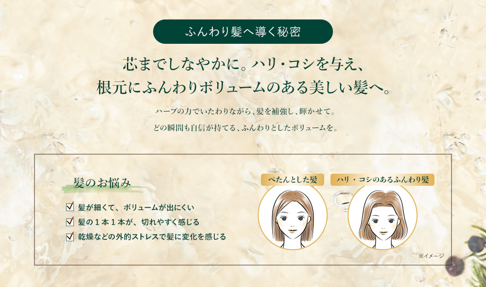 ボリューム髪へ導く秘密